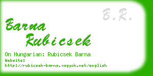 barna rubicsek business card